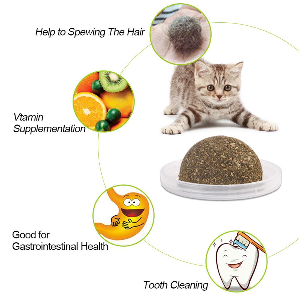Minty Fun Catnip Ball Toy Set - Interactive Pet Supplies For Playful