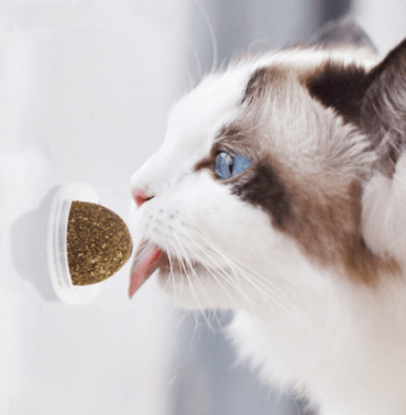 Minty Fun Catnip Ball Toy Set - Interactive Pet Supplies For Playful