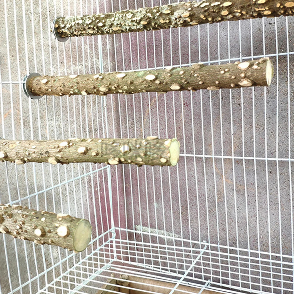 10/15/20cm Bird Claw Beak Grinding Equipment for Parrots Supplies Pet Raw Wood Tree Branch Stand Rack Perches Chew Bite Toys