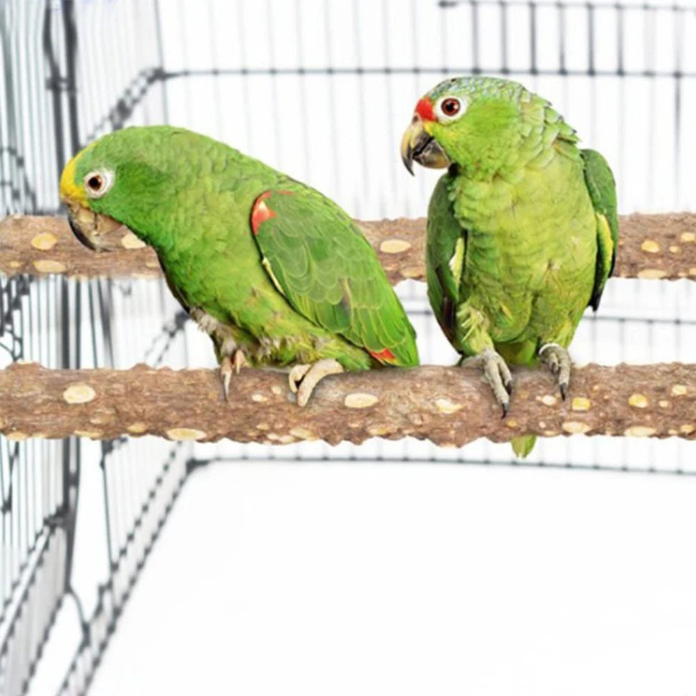 10/15/20cm Bird Claw Beak Grinding Equipment for Parrots Supplies Pet Raw Wood Tree Branch Stand Rack Perches Chew Bite Toys