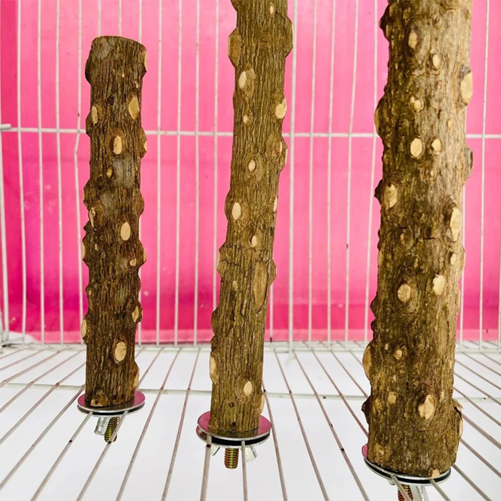 10/15/20cm Bird Claw Beak Grinding Equipment for Parrots Supplies Pet Raw Wood Tree Branch Stand Rack Perches Chew Bite Toys