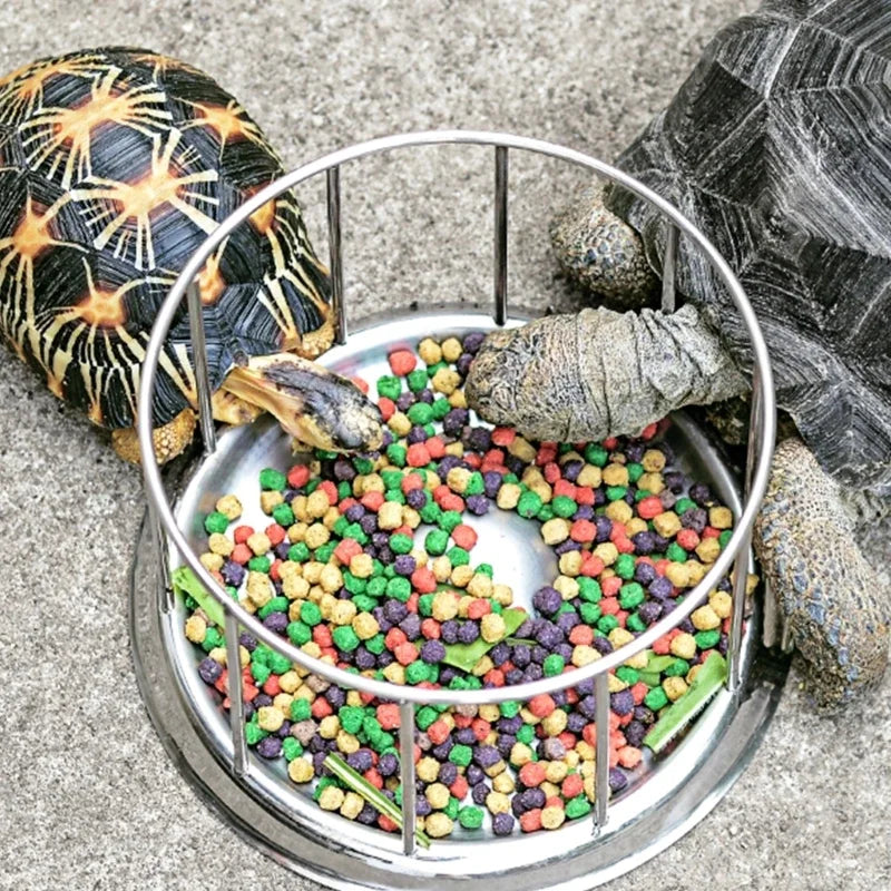 Pet Feeding Tools Stainless Steel Tortoise Feeding Bowl Semi-aquatic Pet Round Feeder Amphibian and Reptile Feeding Bowl