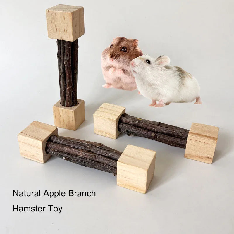 Pet Hamster Toy Natural Apple Tree Branch Teeth Grinding Playing Standing Cage Toy Rabbit Chinchilla Small Animal Supplies New