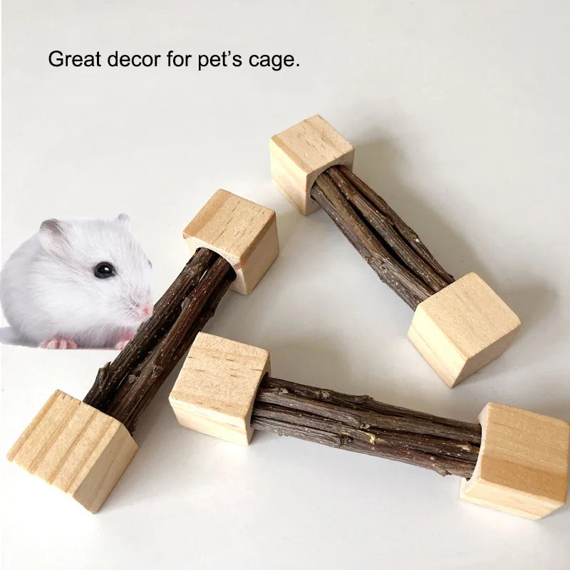 Pet Hamster Toy Natural Apple Tree Branch Teeth Grinding Playing Standing Cage Toy Rabbit Chinchilla Small Animal Supplies New
