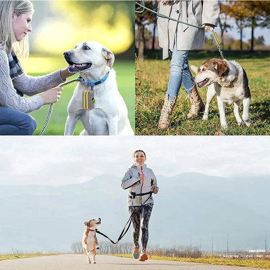 Pet Dog Poop Bag Dispenser Storage Bag Products Pet Waste Bags Carrier Dog Walking Accessories Cleaning Supplies