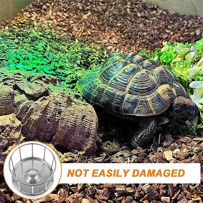 Pet Feeding Tools Stainless Steel Tortoise Feeding Bowl Semi-aquatic Pet Round Feeder Amphibian and Reptile Feeding Bowl