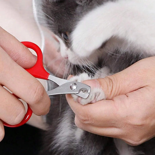 1pc-Cat Nail Trimmer Pet Nail Clipper Grooming Supplies - Safe and Easy Way To Trim Cat Nails Pet Supplies