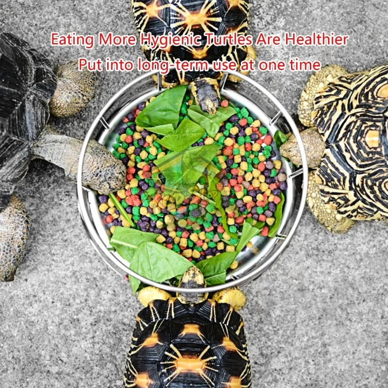 Pet Feeding Tools Stainless Steel Tortoise Feeding Bowl Semi-aquatic Pet Round Feeder Amphibian and Reptile Feeding Bowl
